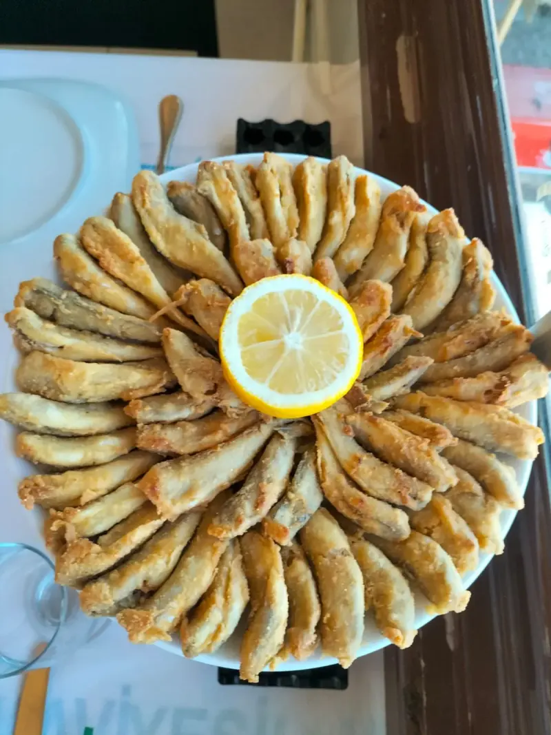 Balık Çeşitleri