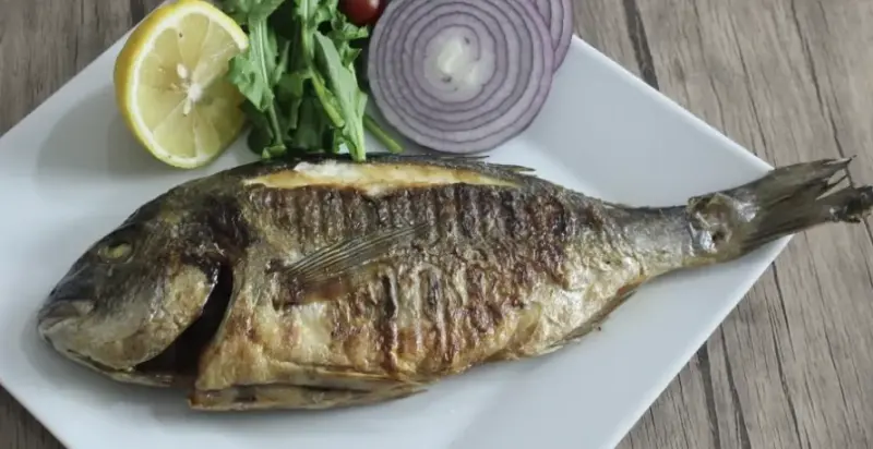 Çipura ızgara