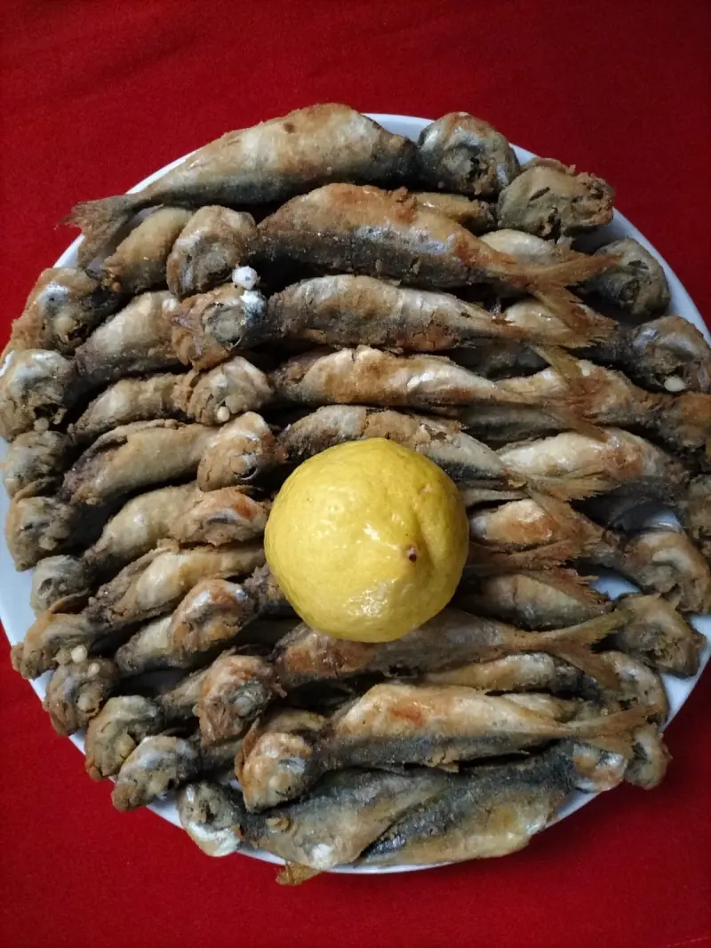 İstavrit tava