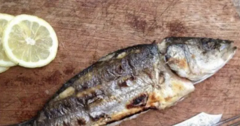 Levrek ızgara